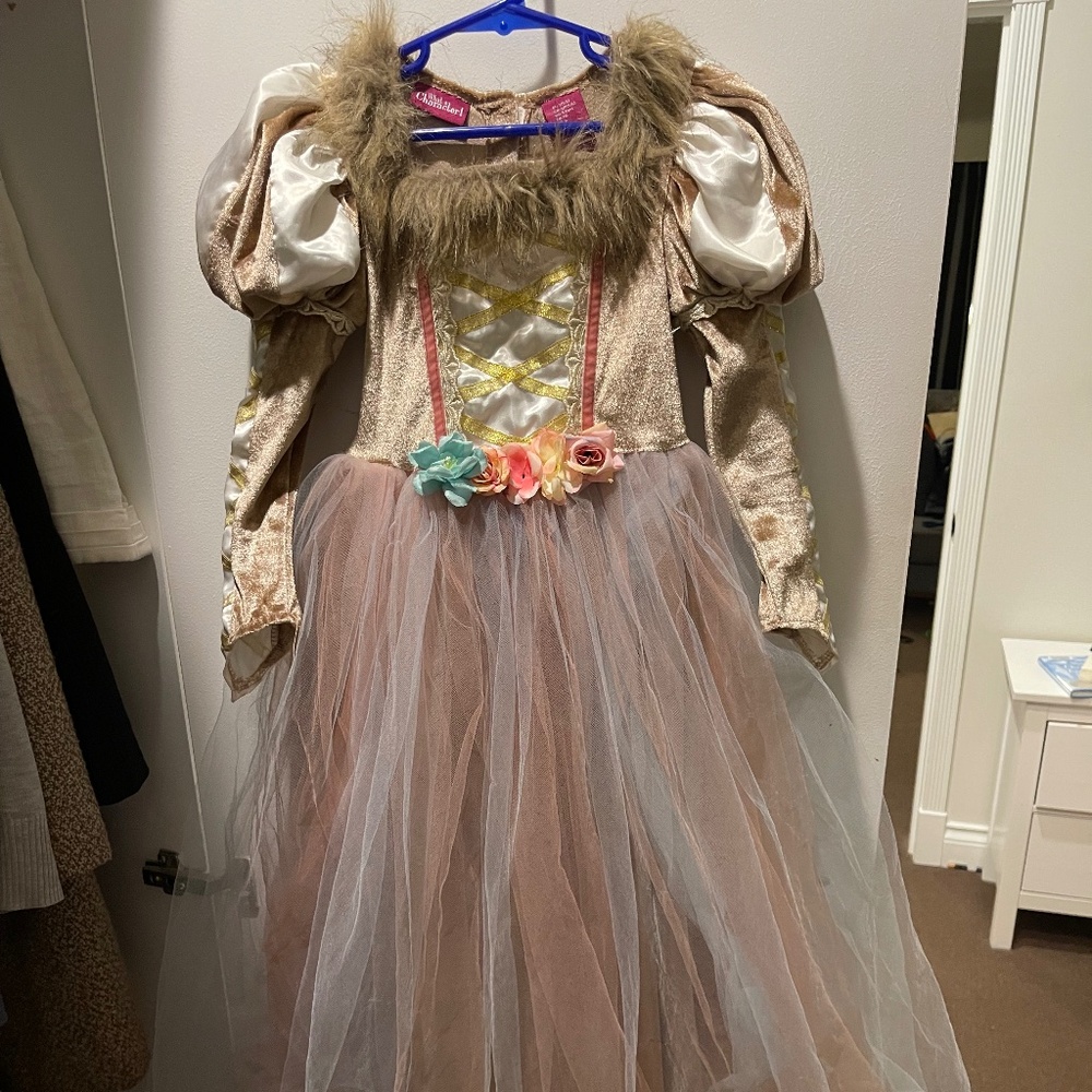 Princess Dress - What a Character Dress